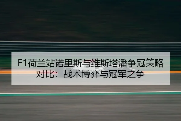 he-lan-zhan-nuo-li-si-yu-wei-si-ta-pan-zheng-guan-ce-lve-dui-bi-zhan-shu-bo-yi-yu-guan-jun-zhi-zheng-2-728.jpg