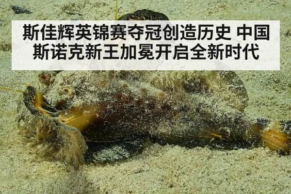 斯佳辉英锦赛夺冠创造历史 中国斯诺克新王加冕开启全新时代